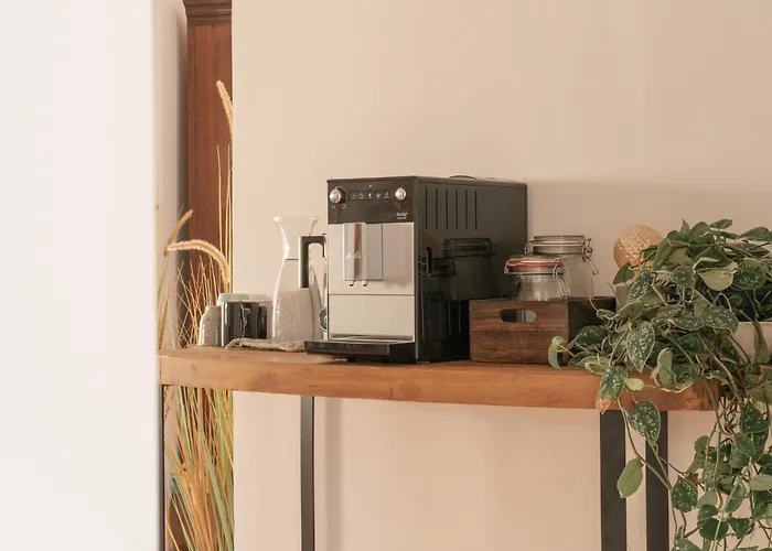 Coco - Coliving & Coworking Costa Blanca